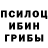 Псилоцибиновые грибы ЛСД Paul Ber