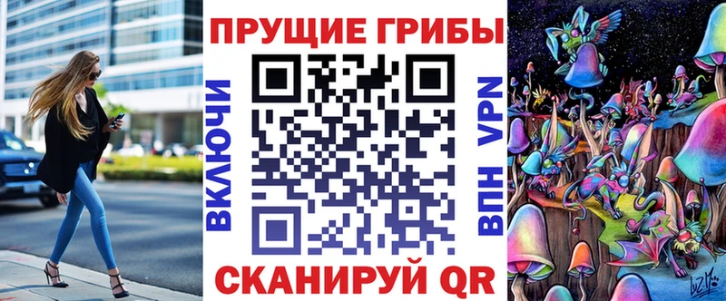 Псилоцибиновые грибы Psilocybine cubensis  Валдай 