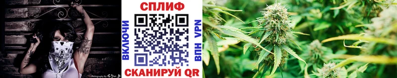 наркотики мориарти наркотические препараты Бошки марихуана LSD WEED Валдай